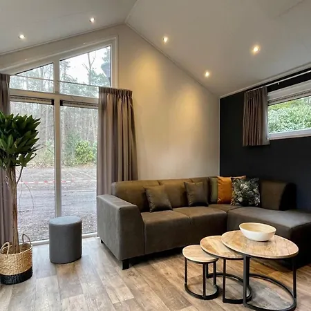 Modern In With Terrace