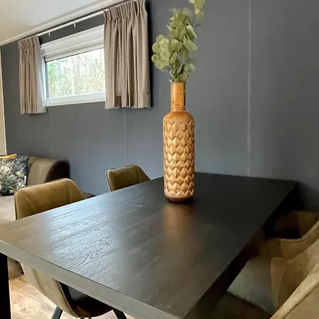 Modern In With Terrace * Beekbergen