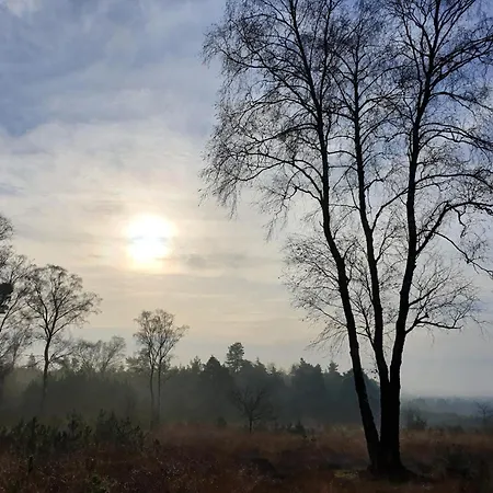 In Near Hoge Veluwe Park Chalet