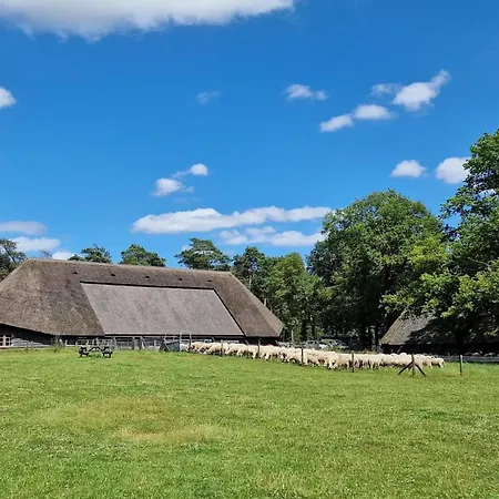 Chalet In Near Hoge Veluwe Park *