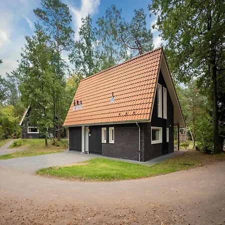 Modern In With Terrace *