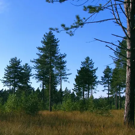 In Near Hoge Veluwe Park Chalet Beekbergen