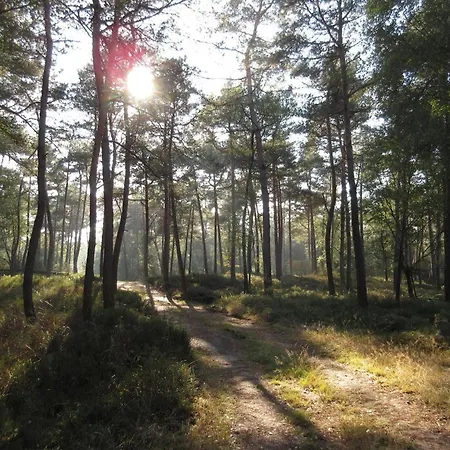 In Near Hoge Veluwe Park *