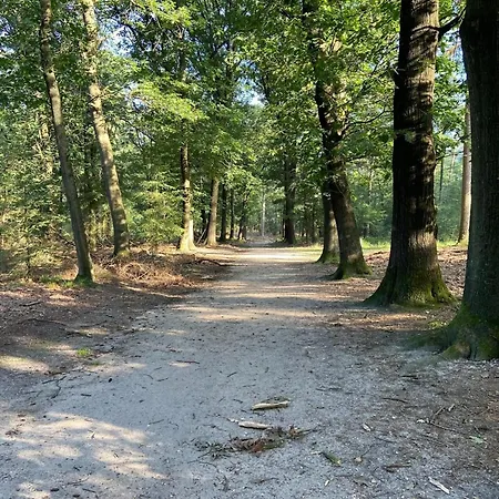 In Near Hoge Veluwe Park * Beekbergen